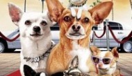 Beverly Hills Chihuahua 2 Streaming